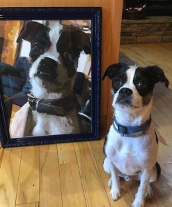 pet puppy paint by numbers