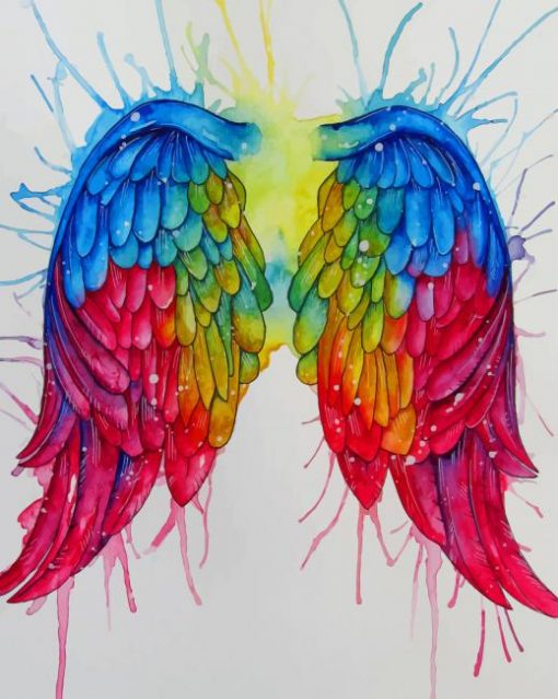 Rainbow Angel Wings paint by numbers