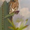 Owl And Cactus Paint by numbers