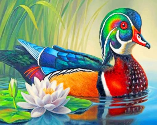 Wood Duck paint by numbers