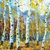 Birch Trees Art paint by numbers