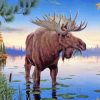 Moose In Lake paint by numbers