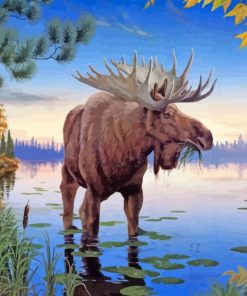 Moose In Lake paint by numbers