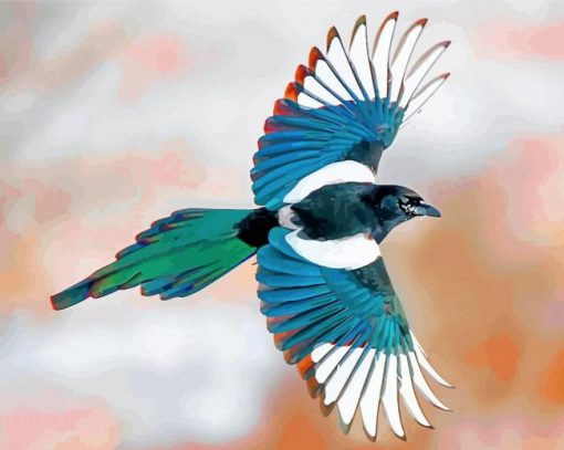 flying magpie paint by numbers