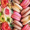 Macaroons And Flowers paint by numbers