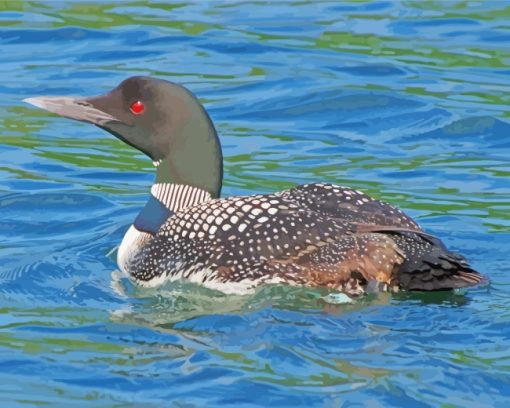 Aquatic Loon paint by numbers