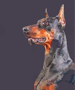 Black Doberman Art paint by numbers