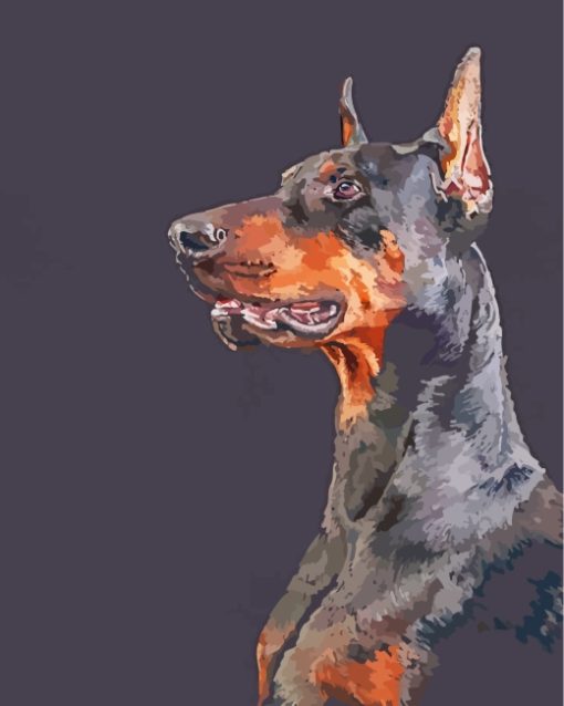 Black Doberman Art paint by numbers