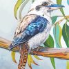 Blue Winged Kookaburra Bird Paint by numbers