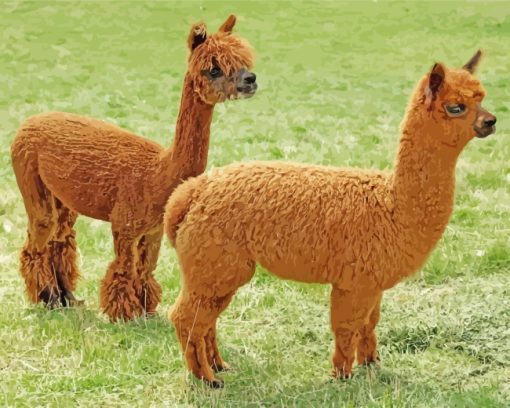 Brown Alpacas paint by numbers