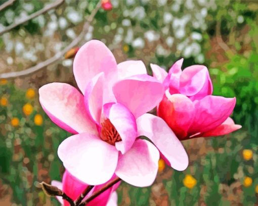 Chinese Magnolia Flower paint by numbers