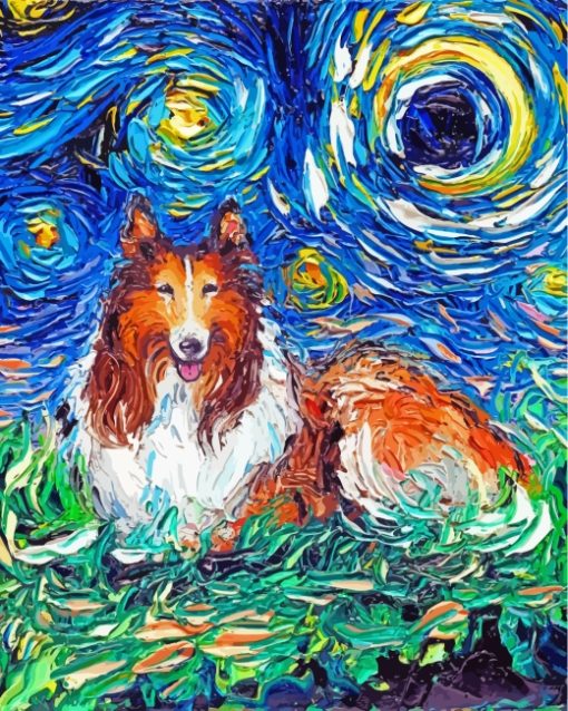 Collie Dog Starry Night paint by numbers