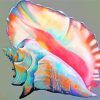 Colorful Conch Shell paint by numbers