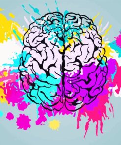 Colorful Splash Humain Brain paint by numbers