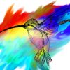 Colorful Hummingbird Art Paint by numbers