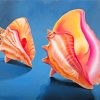 Conch Shells paint by numbers