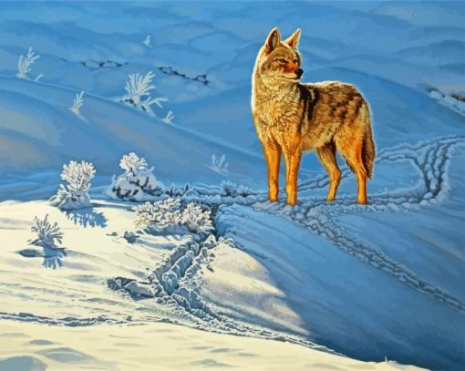 Coyote In Snow paint by numbers