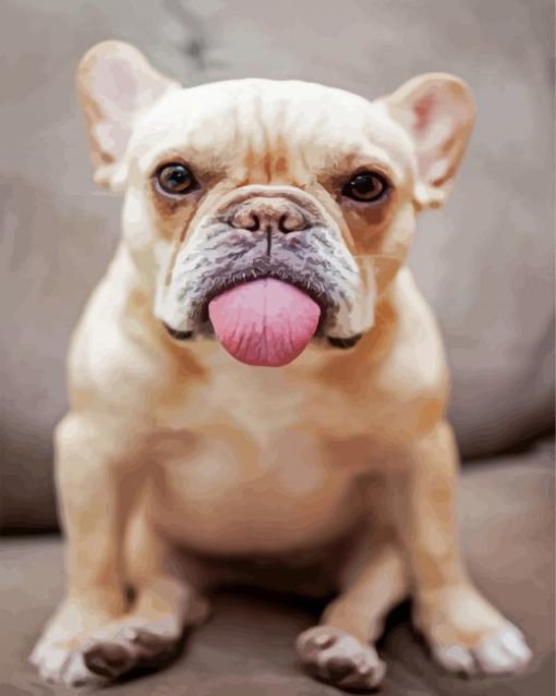 Cute Frenchie paint by numbers