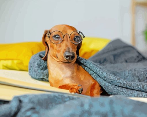 Dachshund With Glasses paint by numbers