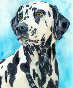 The Dalmatian Dog Art Paint by numbers