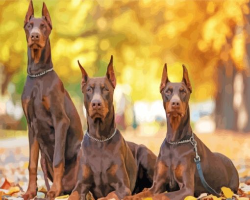 Doberman Family Paint by numbers