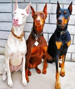 Dobermans paint by number