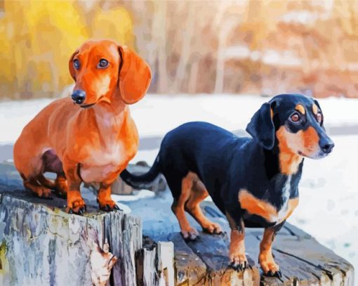 Doxie Dogs paint by numbers