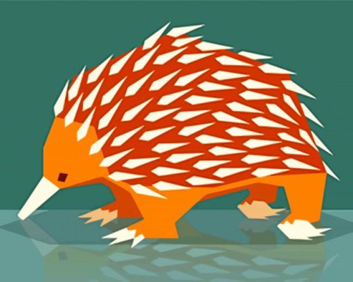 Echidna Illustration Art paint by number