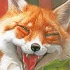 Fox Animal paint by numbers