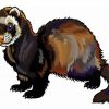 Furet Illustration paint by number