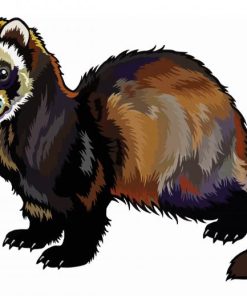 Furet Illustration paint by number