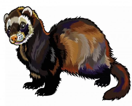 Furet Illustration paint by number