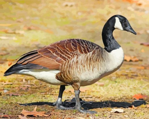 Brown Goose Bird paint by numbers