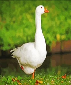 White Goose Bird paint by numbers