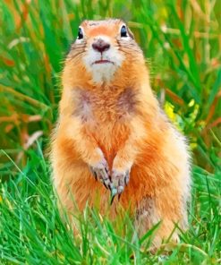 Cute Brown Gopher paint by numbers