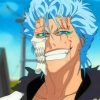 Grimmjow Jaegerjaquez paint by numbers