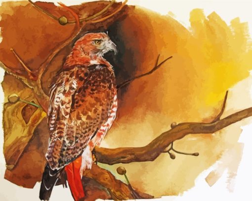 Hawk Bird Art paint by numbers