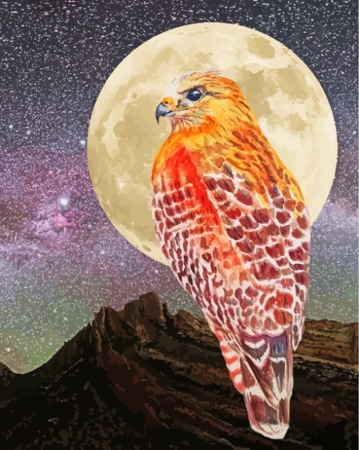 Hawk Bird Moonlight paint by numbers