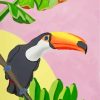 Illustration Toucan Bird Paint by numbers