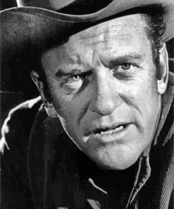 James Arness Matt Dillon Gunsmoke paint by numbers