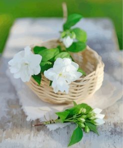 Jasmine Flower Basket paint by number