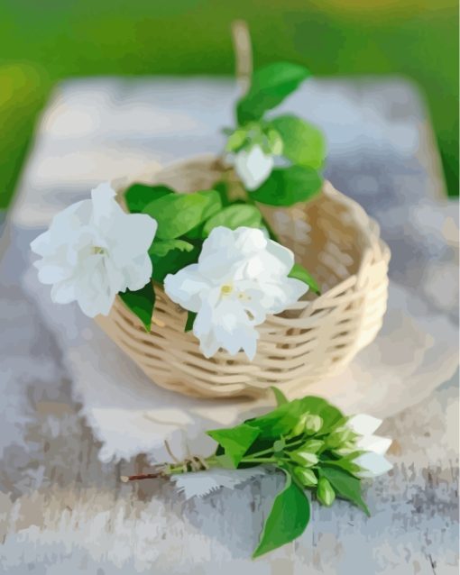 Jasmine Flower Basket paint by number