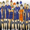 Karasuno High Haikyuu paint by numbers