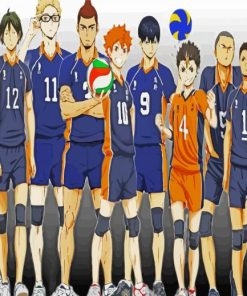 Karasuno High Haikyuu paint by numbers