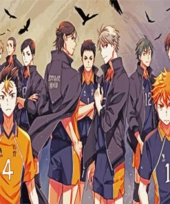 Karasuno High paint by numbers