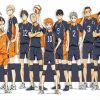 Karasuno paint by numbers