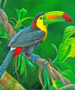 Keel Billed Toucan paint by numbers