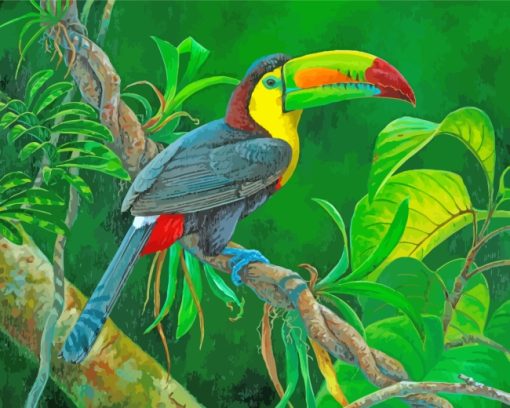 Keel Billed Toucan paint by numbers