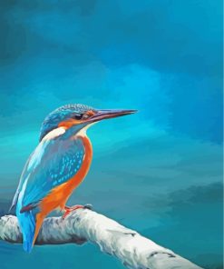 Kingfisher Bird Art paint by numbers