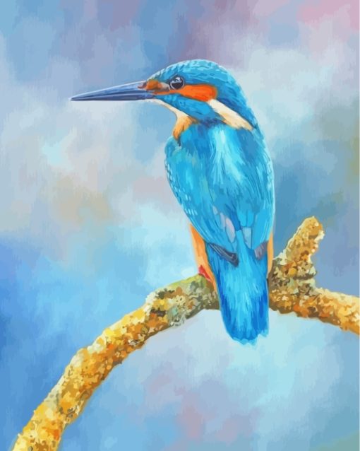 Kingfisher Bird Paint by numbers